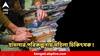 ডাক্তারদের জইশ-যোগ? ভারতে জঙ্গি হামলার পরিকল্পনার পর্দাফাঁস ! জড়িত মহিলা চিকিৎসকও?