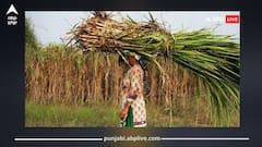 ਕਿਸਾਨਾਂ ਲਈ ਵੱਡੀ ਖੁਸ਼ਖਬਰੀ! ਸਰਕਾਰ ਦੇ ਨਵੇਂ ਫੈਸਲੇ ਨਾਲ ਗੰਨਾ ਉਤਪਾਦਕਾਂ ਦੀ ਆਮਦਨ 'ਚ ਵਾਧਾ, ਜਾਣੋ ਕਿਵੇਂ?