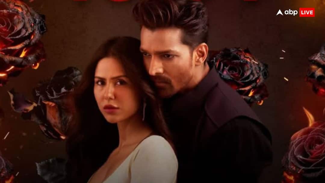 Ek Deewane Ki Deewaniyat BO Day 20: 'एक दीवाने की दीवानियत' ने तीसरे संडे भी दिखाया दम, 'भूल चूक माफ' का कर डाला शिकार, जानें- 20 दिनों का कलेक्शन