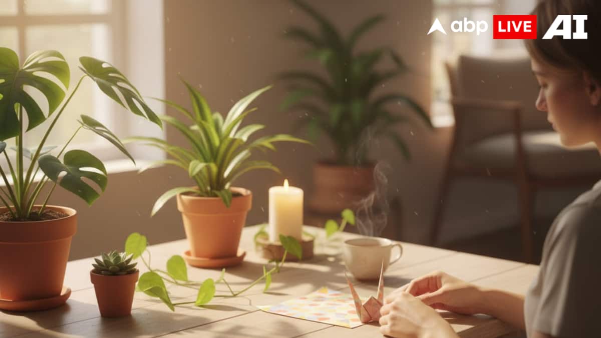 (छवि स्रोत: ABPLIVE AI)