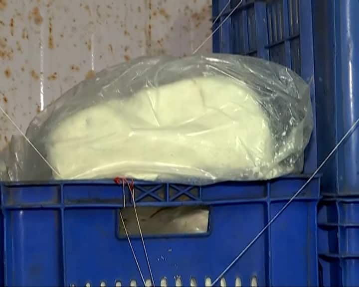 સુરતમાં 'ધીમા ઝેર'ના નેટવર્કનો પર્દાફાશ: 'સુરભિ ડેરી'ના 2 યુનિટમાંથી ₹3 લાખનું 955 કિલો શંકાસ્પદ પનીર જપ્ત