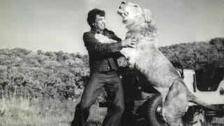 From ‘Basanti’ To ‘Kutte Kamine’: Dharmendra’s Dialogues That Still Rule Hearts