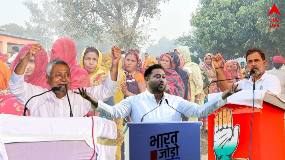 bihar 2025 assembly elections exit poll predicts NDA Lead In Bihar Mahagathbandhan lagging behind Bihar Exit Poll 2025: বিহারে এবার কাজ করবে তেজস্বী-রাহুল জুটি ? নাকি নীতীশের প্রত্যাবর্তন ? যা বলছে এক্সিট পোল...