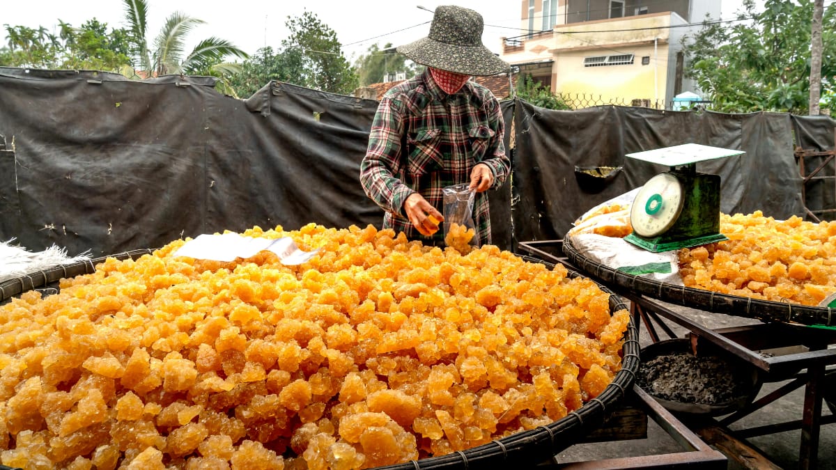 10 Winter Foods That Improve Digestion And Keep Your Gut Happy