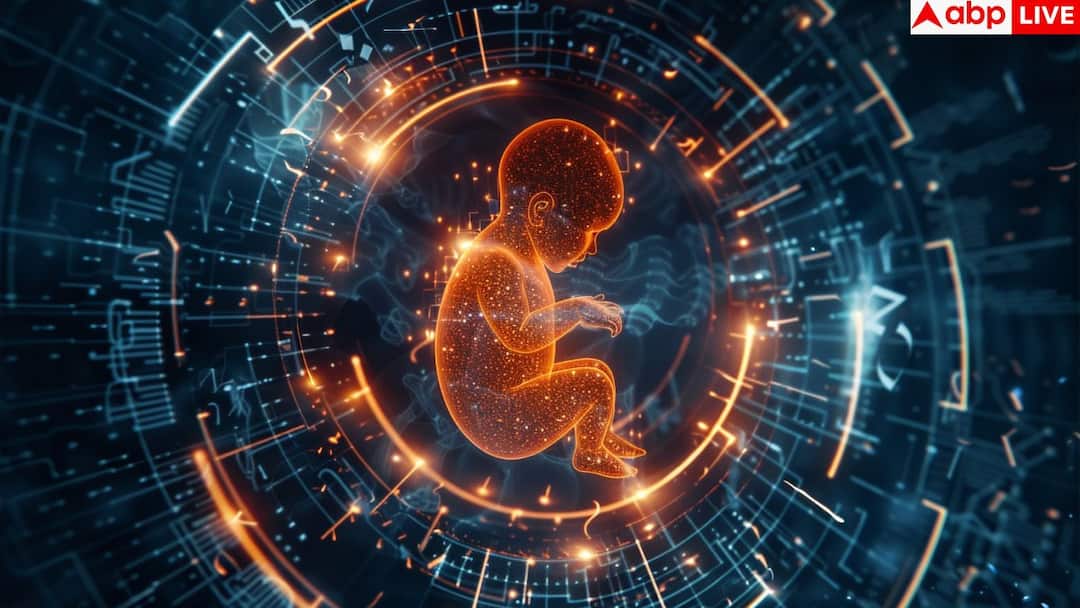वैज्ञानिकों ने तैयार किया आर्टिफिशियल वॉम्ब, प्रीमैच्योर बर्थ वाले बच्चे को मिलेगी संजीवनी