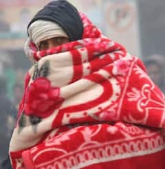 ਪੰਜਾਬ 'ਚ ਸ਼ੀਤ ਲਹਿਰ ਦਾ ਕਹਿਰ! 48 ਘੰਟਿਆਂ 'ਚ 2°C ਤੱਕ ਡਿੱਗੇਗਾ ਤਾਪਮਾਨ, ਯੈਲੋ ਅਲਰਟ ਜਾਰੀ!