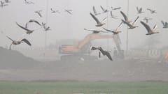 Weather Update : শৈত্য প্রবাহের সতর্কবার্তা দিল্লিতে, কলকাতায় দিনের তাপমাত্রাও নামল স্বাভাবিকের নীচে !