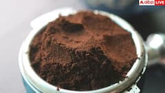 Protein Powder Safety: प्रोटीन पाउडर में गलती से भी नहीं मिलानी चाहिए ये 6 चीजें, वरना बनने की जगह बिगड़ जाएगी सेहत