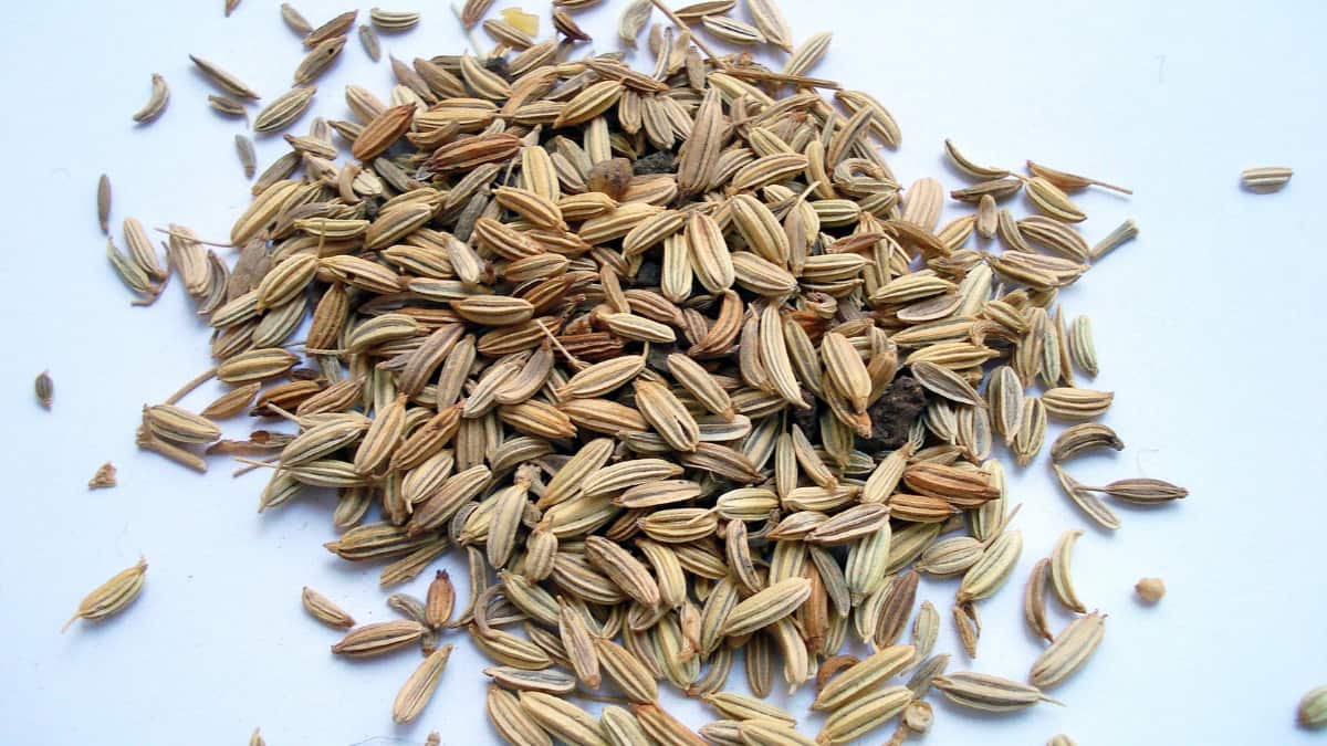 10 Winter Foods That Improve Digestion And Keep Your Gut Happy