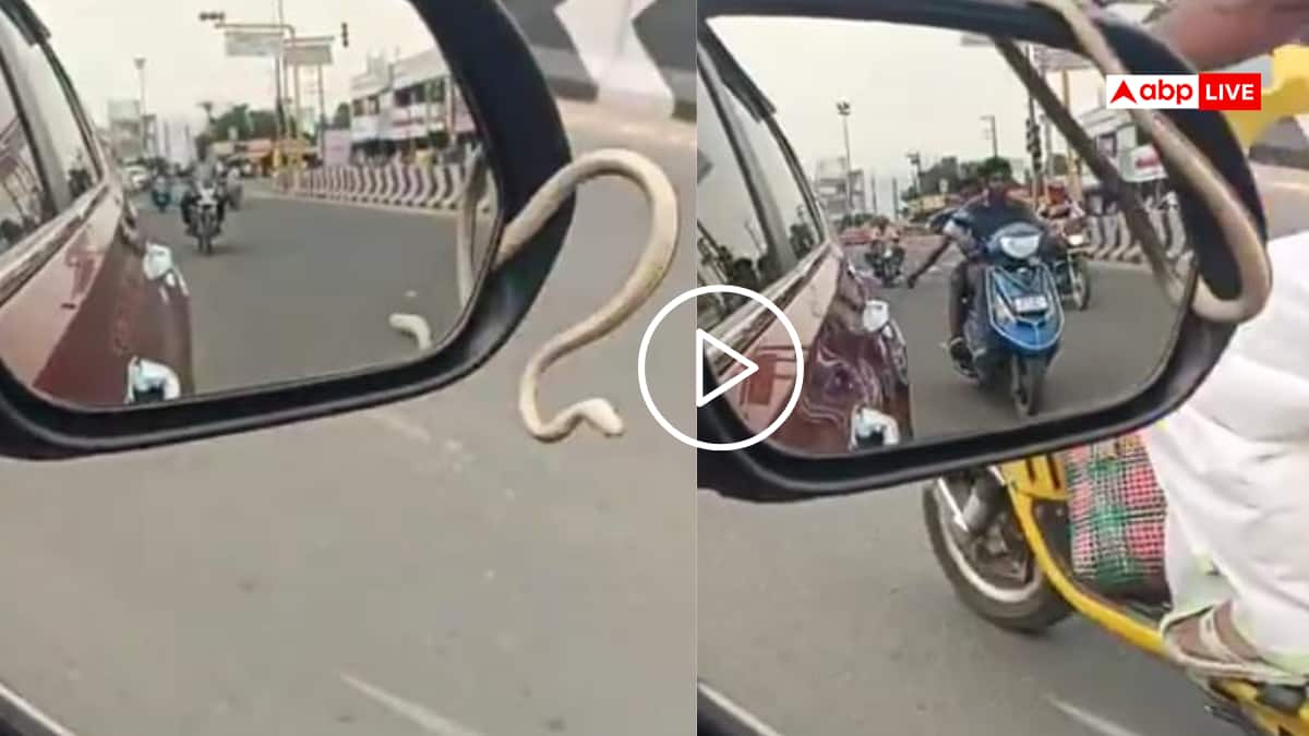 Video: कार लेकर निकला शख्स, साइड मिरर से बाहर निकला सांप, तमिलनाडु का वीडियो वायरल