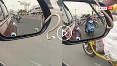 Video: कार लेकर निकला शख्स, साइड मिरर से बाहर निकला सांप, तमिलनाडु का वीडियो वायरल