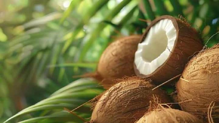 कच्चे नारियल में फाइबर अधिक होता है और इसका ग्लाइसेमिक इंडेक्स कम होता है, जिससे पेट लंबे समय तक भरा रहता है और अधिक खाने की इच्छा कम होती है।