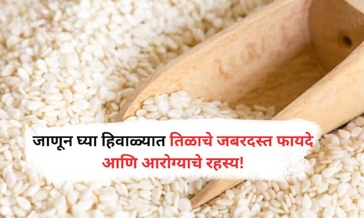 Benefits of Sesame : आयुर्वेदानुसार, नियमित तीळ सेवन केल्याने पचन सुधारते, आतड्यांचे आरोग्य मजबूत होते आणि शरीर हिवाळ्यात निरोगी राहते.