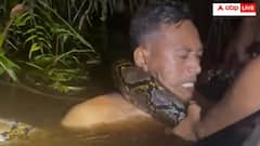 होशियारी पड़ी भारी! नदी में झुक अजगर को पकड़ रहा था शख्स तभी गर्दन जकड़ पानी में ले गया दरिंदा- यूजर्स हैरान