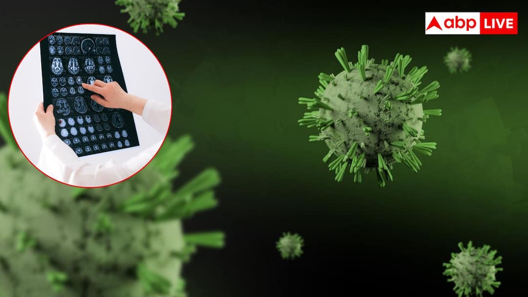 अब बैक्टीरिया खुद कैंसर का ट्यूमर ढूंढकर करेंगे इलाज, लेकिन इंसानों को नहीं पहुंचाएंगे नुकसान