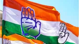 Assembly Bypolls Result 2025: બિહારની હાર વચ્ચે કોંગ્રેસ માટે આવ્યા રાહતના સમાચાર, આ બેઠક પર મળી બમ્પર જીત