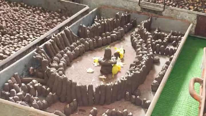 Disclaimer: અહીં , પૂરી પાડવામાં આવેલ માહિતી માત્ર ધારણાઓ અને માહિતી પર આધારિત છે. એબીપી અસ્મિતા કોઈપણ પ્રકારની માન્યતા, માહિતીને સમર્થન આપતું નથી