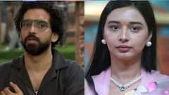 ‘बिग बॉस 19’ मध्ये बेशरमपणाची परिसीमा! अमाल मलिकने तान्या मित्तलसोबत वाद घालताना केला ‘घाणेरडा इशारा’