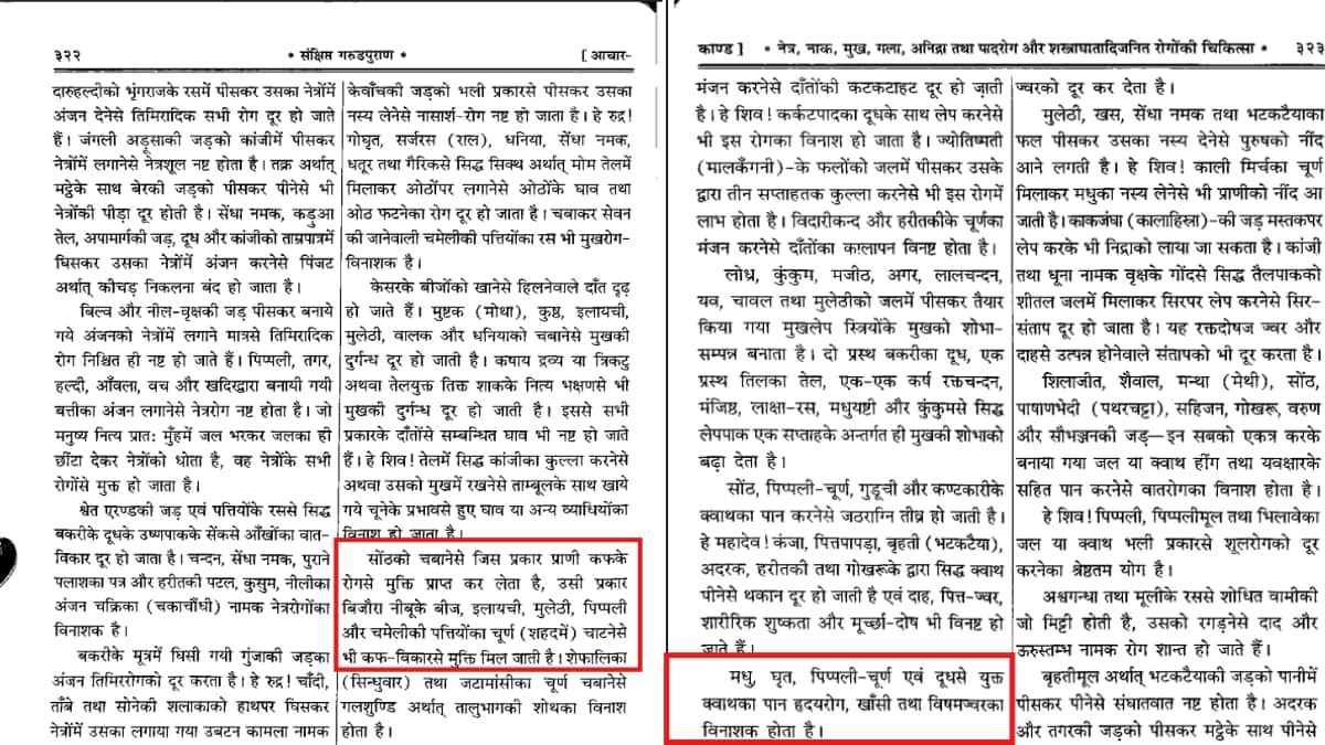 Garuda Puran: गरुड़ पुराण सिर्फ मृत्यु के बाद की कथा नहीं, इसमें छिपे हैं लंबी आयु के नियम!