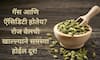 Benefits of Cardamom : दररोज वेलची खाण्याचे 'हे' आहेत आरोग्यदायी फायदे!