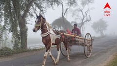 Weather Update Kolkata: স্বাভাবিকের থেকে নীচে কলকাতার তাপমাত্রা, আগামী কয়েকদিন বাংলায় কেমন থাকবে আবহাওয়া?