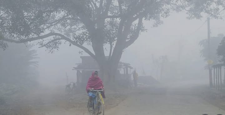राज्यातील बहुतांश ठिकाणी आता हवेत चांगलाच गारठा जाणवू लागला आहे.