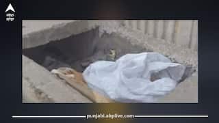 ਲੁਧਿਆਣਾ 'ਚ ਔਰਤ ਦੀ ਲਾਸ਼ ਬਰਾਮਦ, ਪਲਾਸਟਿਕ ਦੇ ਥੈਲੇ 'ਚੋਂ ਨਜ਼ਰ ਆਇਆ ਹੱਥ, ਇਲਾਕੇ 'ਚ ਮੱਚੀ ਹਾਹਾਕਾਰ