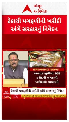 Peanut MSP News : અત્યાર સુધીમાં 18,824 મેટ્રિક ટન મગફળીની ટેકાના ભાવે ખરીદી, સરકારનું નિવેદન
