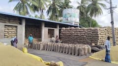 திருவாரூர் விவசாயிகள் சாதனை: ரூ.704 கோடி நெல் கொள்முதல்! ஆட்சியர் தகவல், இரு மடங்கு அதிகரிப்பு!