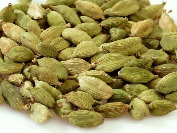 वेलची आपल्या घरात मसाल्यांमध्ये जास्त प्रमाणात वापरली जाते. ती फक्त मसाल्यासाठीच नाही तर आरोग्यासाठीही फायदेशीर आहे.