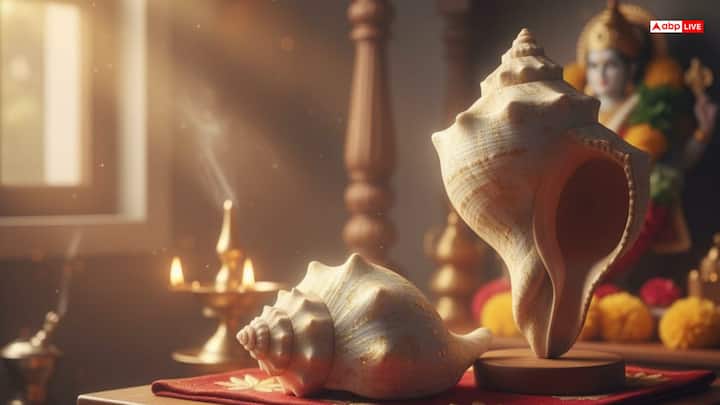 Keeping two conch shells in the house is considered auspicious. One for worship and the other for playing. The puja conch is used only for worship, while the other conch is kept for blowing.