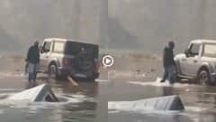 Video: आ गया स्वाद? स्टंट के चक्कर में झील में डूबी एक साथ दो थार, दिल्ली का वीडियो वायरल