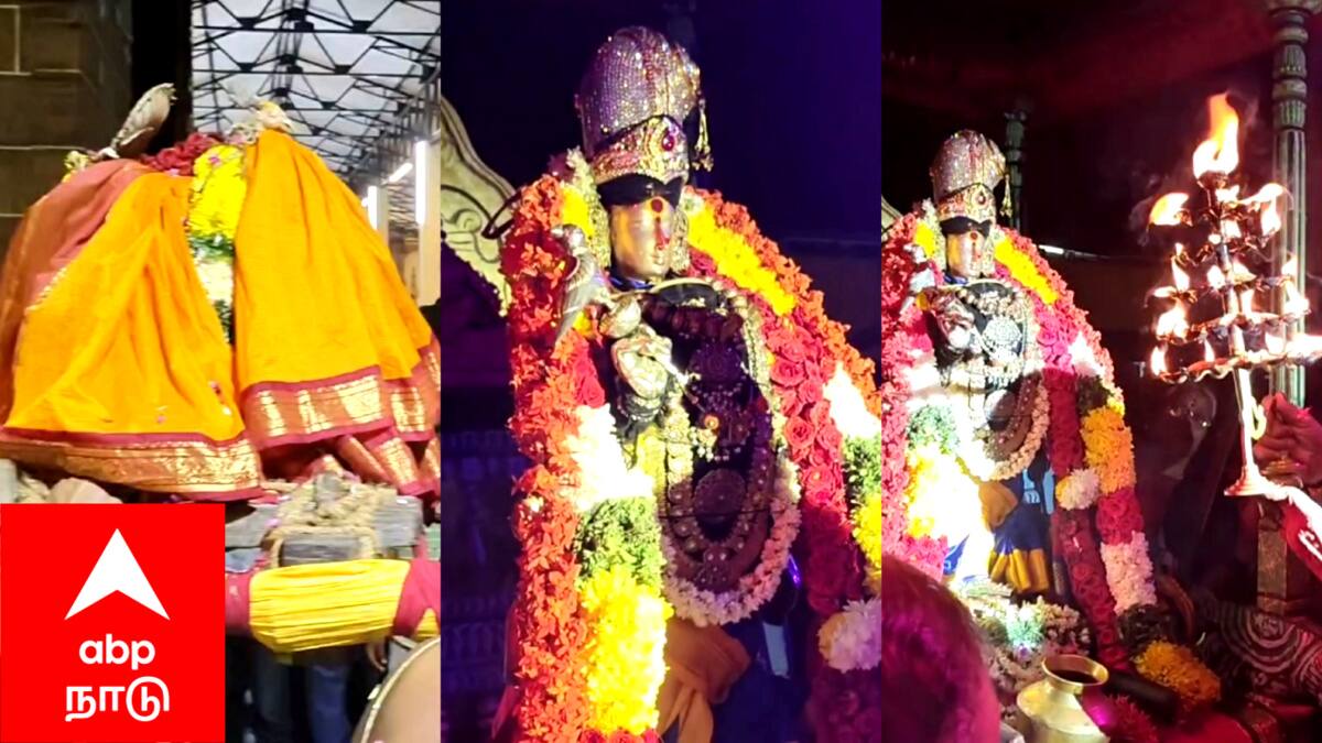 மாயூரநாதர் கோயிலில் மயில் உருவில் அம்பாள் சிவனை வழிபட்ட அதிசயம்! துலா உற்சவ விழாவில் ஐதீக நிகழ்வு..!