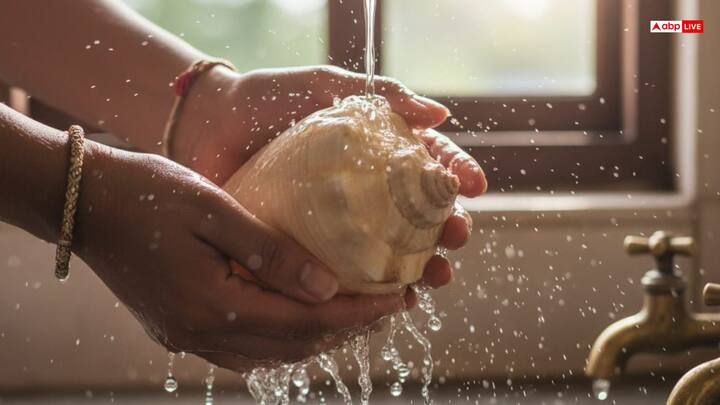 The conch shell should always be kept in a clean place. Whenever you blow the conch, wash it with clean water and then put it back. Keeping it in a dirty or dusty place can spread negative energy and affect the atmosphere of the house.