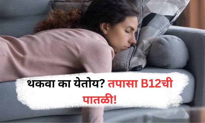 Health Care : सतत थकवा आणि अशक्तपणा जाणवत असल्यास, ते व्हिटॅमिन बी१२च्या कमतरतेचे लक्षण असू शकते, त्यामुळे रक्त तपासणी करून योग्य उपचार घेणे आवश्यक आहे.