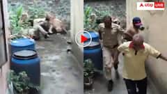 तेंदुआ पकड़ने गई पुलिस की टीम पर दरिंदे ने कर दिया हमला! रेस्क्यू करने में छूटे पसीने- वीडियो वायरल