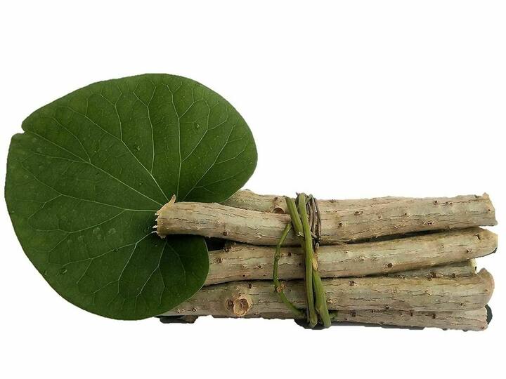 ही  वेल ज्या झाडावर चढते,त्याचे गुणधर्म शोषून घेते. त्यामुळे कडुलिंबावर वाढलेली गिलॉय अधिक प्रभावी आणि औषधी गुणांनी समृद्ध असते, म्हणून तिची मागणी जास्त असते.