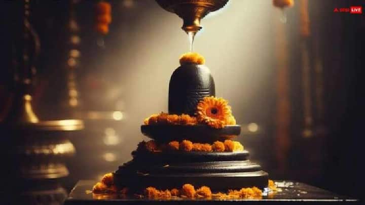 ઘરમાં શિવલિંગ હોવું ખૂબજ શુભ માનવામાં આવે છે. ઘરમાં શિવલિંગ હોવાથી સકારાત્મક ઉર્જા ઉત્પન્ન થાય છે, જેનાથી ઘરમાં સમૃદ્ધિ આવે છે. તે પરિવારના સભ્યોમાં શાંતિ જાળવવામાં મદદ કરે છે.