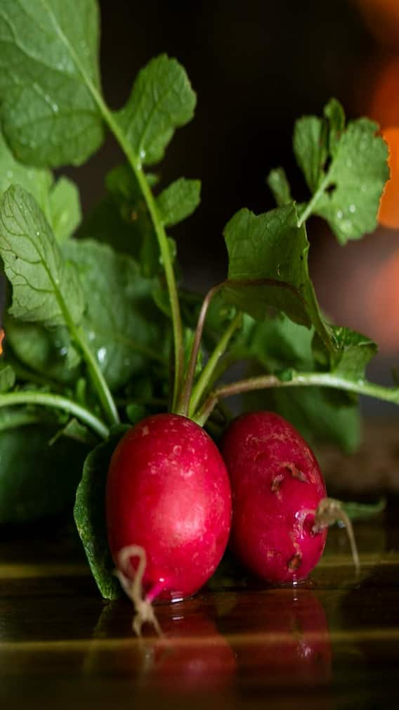 कोणत्या लोकांनी मुळा खाऊ नये?