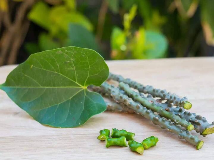 गिलॉयमध्ये तांबे, लोह, फॉस्फरस, जस्त, कॅल्शियम आणि मॅंगनीज यांसारखे पोषक घटक आढळतात. त्यातील टिनोस्पोरिन आणि अँटीऑक्सिडंट्स मुबलक प्रमाणात असल्यामुळे ती दाहविरोधी गुणधर्मांनी समृद्ध आहे.