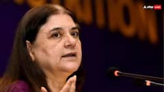 आवारा कुत्तों को लेकर सुप्रीम कोर्ट के आदेश पर आया एनिमल राइट्स एक्टिविस्ट मेनका गांधी का रिएक्शन, बोलीं- ये इम्प्रैक्टिल है