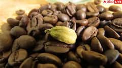 Cardamom Benefits: દરરોજ ઇલાયચી ચાવવાથી થાય છે આ અદ્ભુત ફાયદા