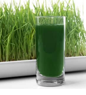 ਵੀਟ ਗਰਾਸ ਜੂਸ 'ਚ ਲੁਕੀ ਸਿਹਤ ਦੀ ਚਾਬੀ; ਡੀਟੌਕਸ, ਐਨਰਜੀ ਅਤੇ ਇਮਿਊਨਿਟੀ ਨੂੰ ਬੂਸਟ ਕਰਨ ਵਾਲੇ ਅਦਭੁਤ ਫਾਇਦੇ!