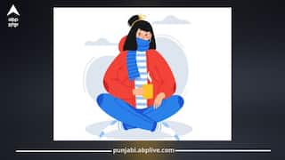ਸਰਦੀਆਂ 'ਚ ਵੱਧ ਠੰਢ ਲੱਗਦੀ? ਵਿਟਾਮਿਨਾਂ ਦੀ ਕਮੀ ਨਾਲ ਜੁੜੀ ਇਸ ਸਮੱਸਿਆ ਦਾ ਹੱਲ ਅਤੇ ਖੁਰਾਕੀ ਸੁਝਾਅ!