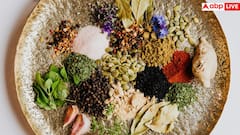 Black Pepper Benefits: रोजाना काली मिर्च चबाने से मिलते हैं ये 8 फायदे, जान लेंगे तो नहीं करेंगे इग्नोर