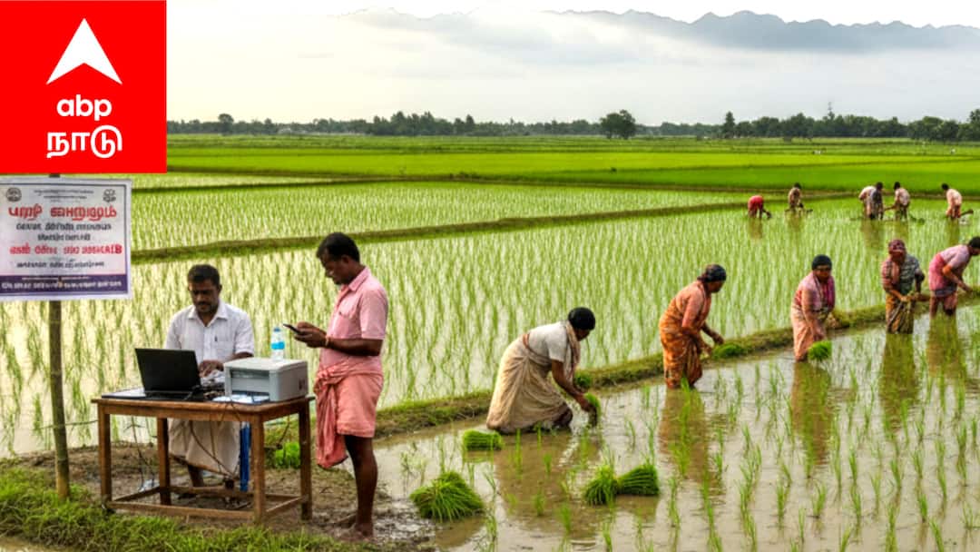 மயிலாடுதுறை மாவட்ட விவசாயிகளின் கவனத்திற்கு: பயிர்க் காப்பீடு செய்ய தவறினால் இழப்பீடு இல்லை! ஆட்சியர் எச்சரிக்கை