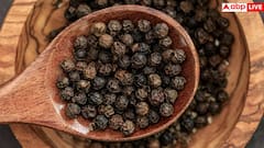 Black Pepper Benefits: रोजाना काली मिर्च चबाने से मिलते हैं ये 8 फायदे, जान लेंगे तो नहीं करेंगे इग्नोर