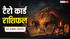 Tarot Prediction 14 November 2025: जानें शुक्रवार का टैरो कार्ड से अपनी किस्मत और भाग्यांक