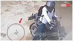 పగ తీర్చుకున్న బుల్లి నాగుపాము; బైకర్‌ను ఎలా కాటేసిందో చూస్తే షాక్ అవుతారు!