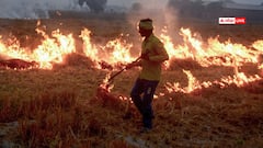 यूपी में CM योगी के सख्त निर्देशों का दिखा असर, पराली जलाने की घटनाओं में आई कमी